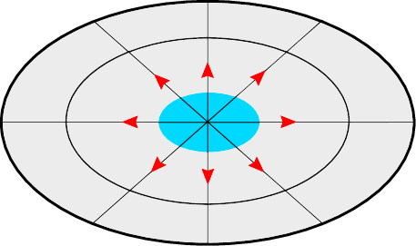Calotte - coupe transversale