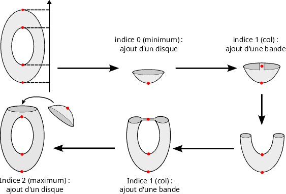 Étapes de reconstruction du tore